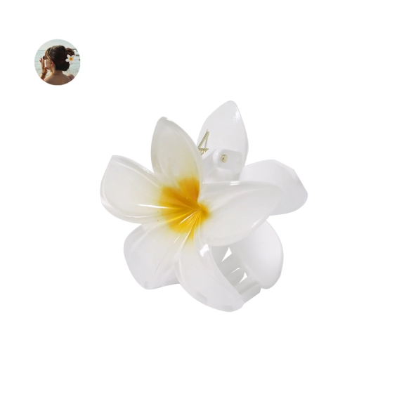 Pince à cheveux Tixcon