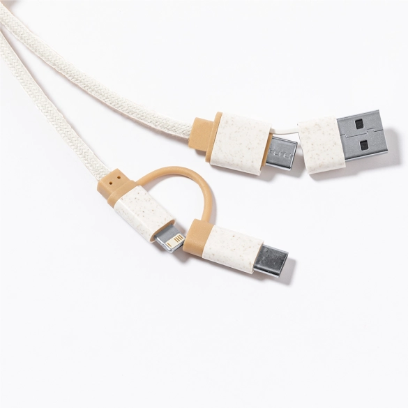 Câble de Charge Denny