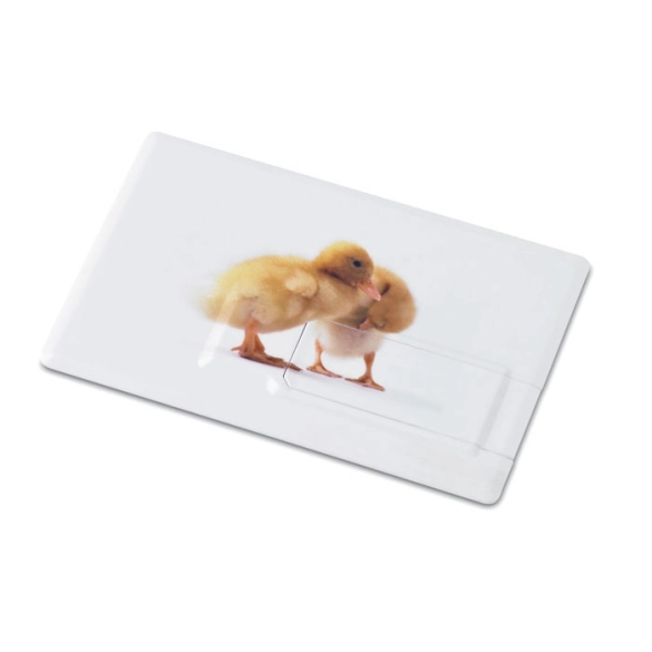 MEMORAMA, Creditcard. USB flash 16GB