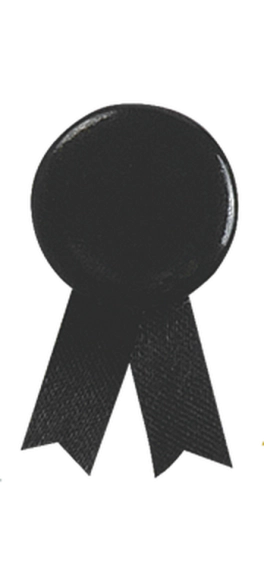 Pin's Ruban Solidario