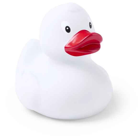 Canard Koldy