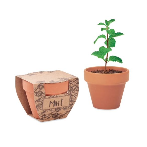 MINT POT, Pot avec graines de menthe