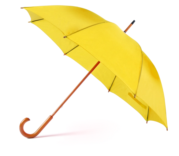 Parapluie Santy