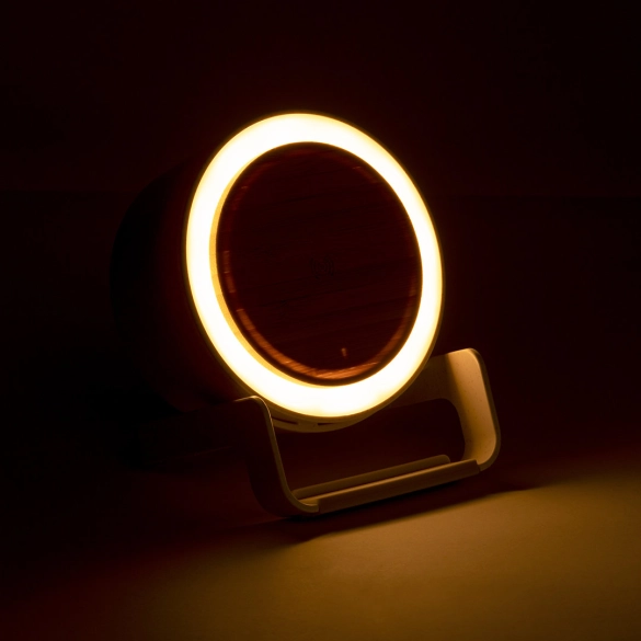 Lampe Multifonction Sadow