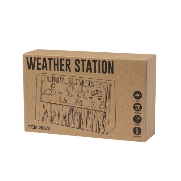 Station Météo Roamer