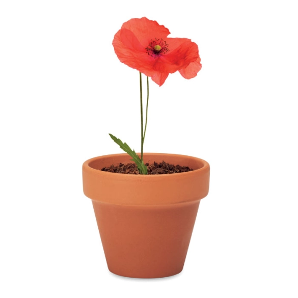 RED POPPY, Pot graines de coquelicot