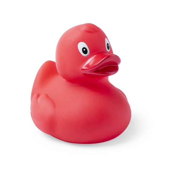 Canard Koldy