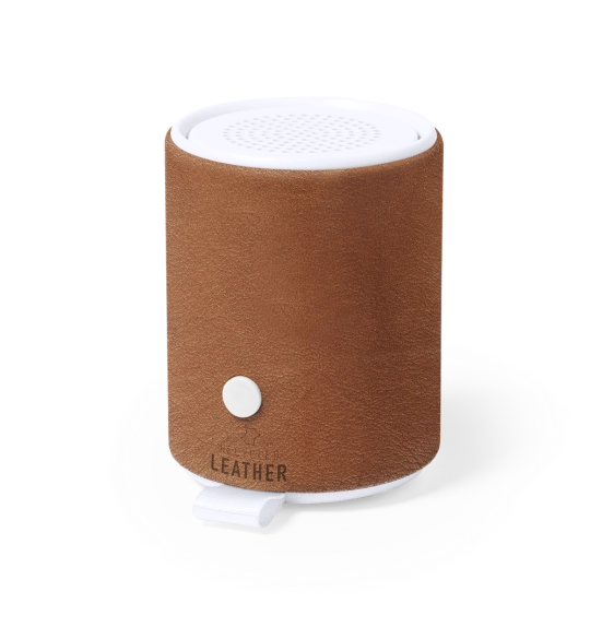 Haut-Parleur Sotep RCS