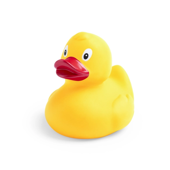 Canard Koldy