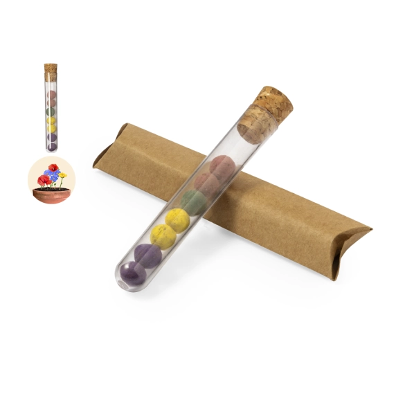 Set Bonbon Graines Dinaclex