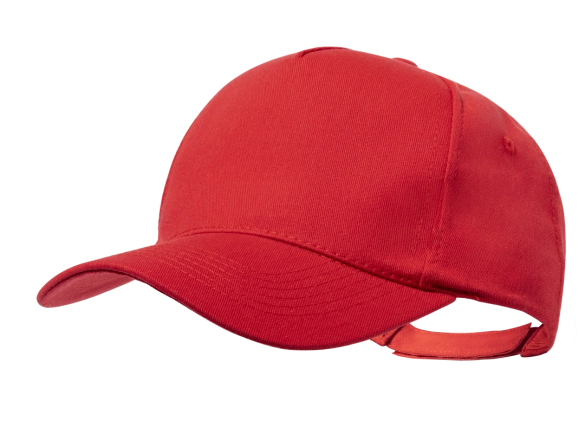 Casquette Pickot