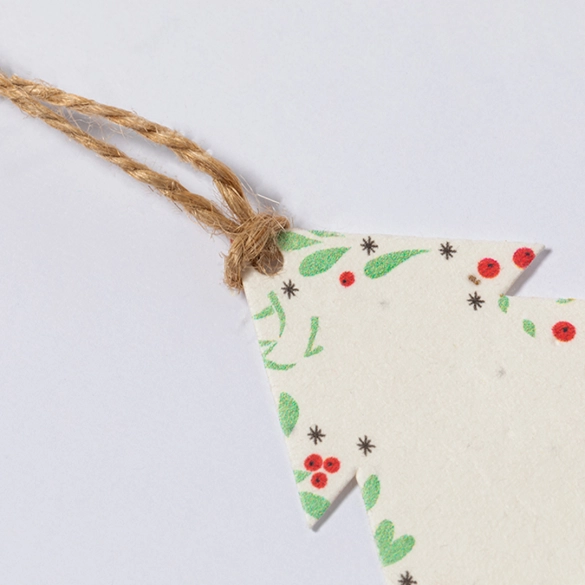 Ornement Noël Ensemencé Boster