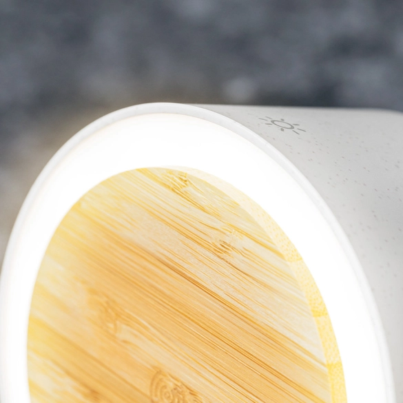 Lampe Multifonction Sadow