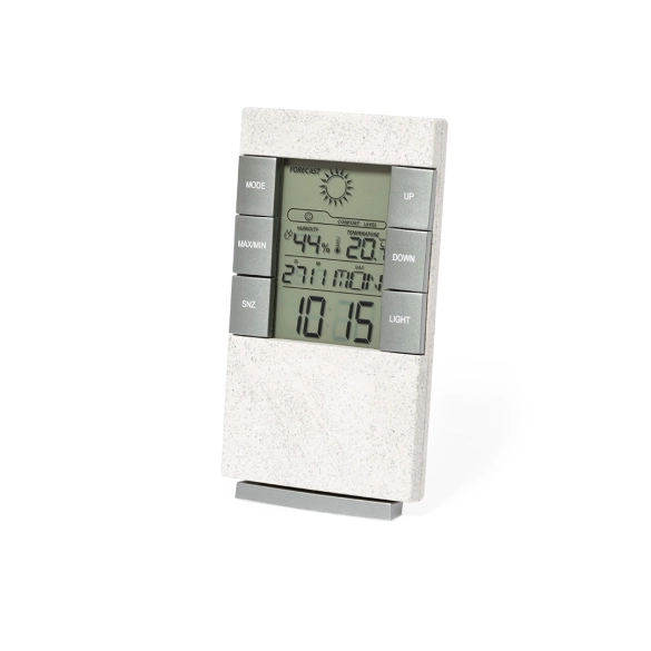 Station Météo Maginly