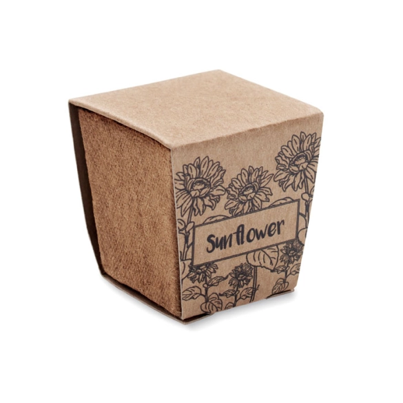 SUNFLOWER KIT, Kit de tournesol