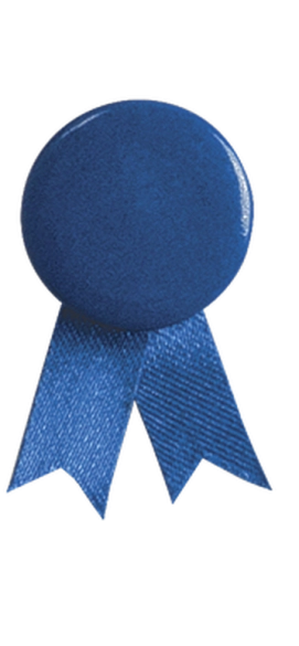 Pin's Ruban Solidario