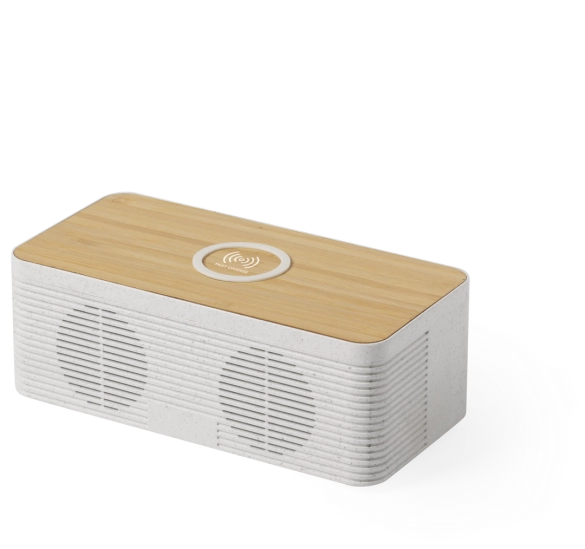 Haut-Parleurs Chargeur Trecam
