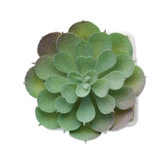 ARTIECHE, Mini plante artificielle
