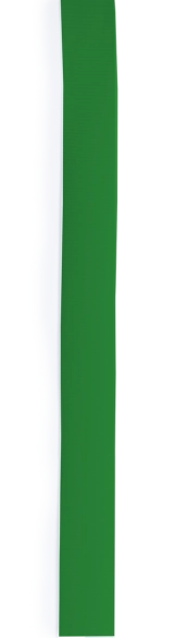 Ruban Chapeau Hicoband