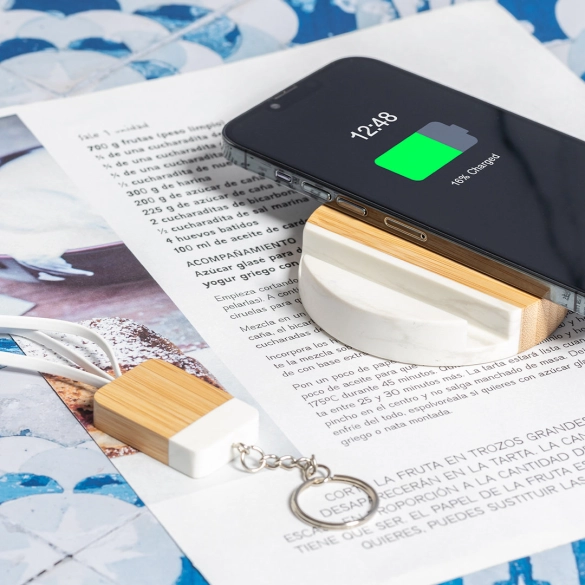 Câble de Charge Brestin