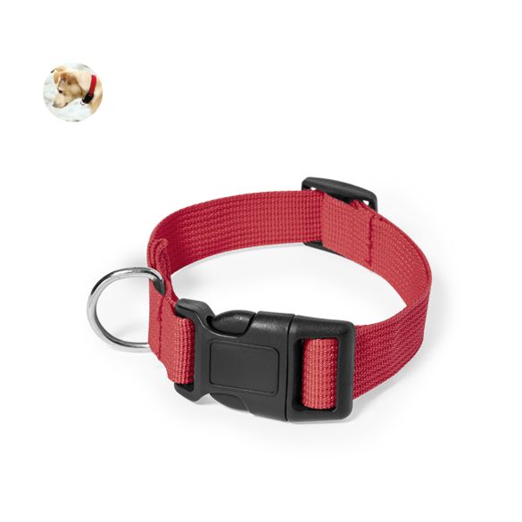 Collier Mastif