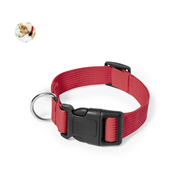 Collier Mastif