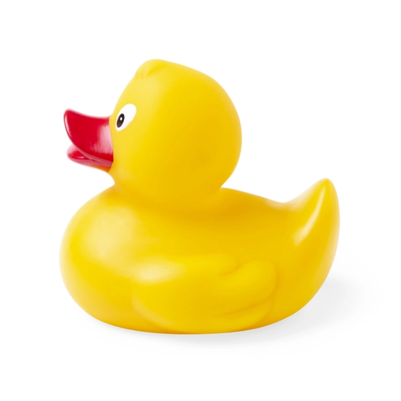 Canard Koldy