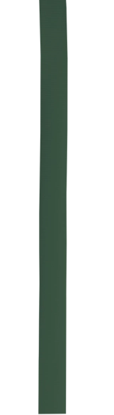 Ruban Chapeau Polyesterband