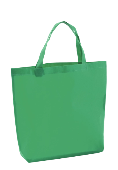 Sac Shopper