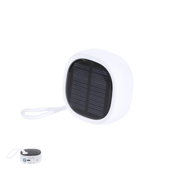 Haut-Parleur Kompec RCS