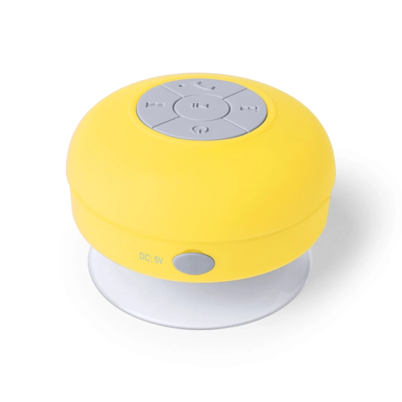Haut-Parleur Rariax