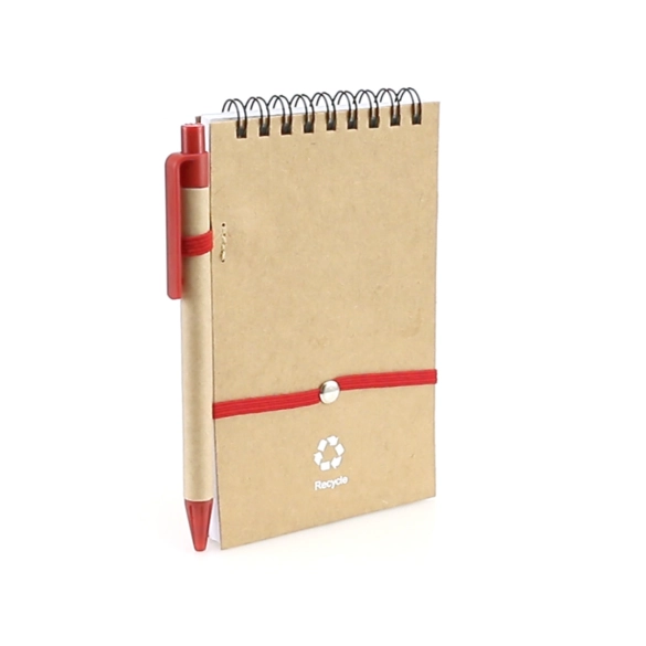 Cahier Ecocard