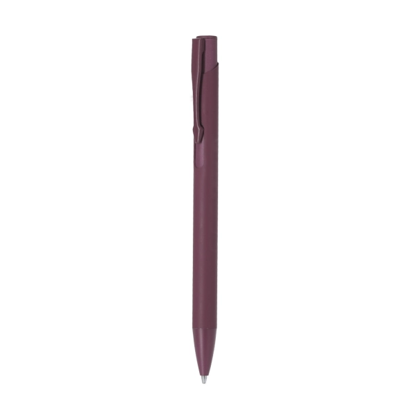 Stylet Vieso