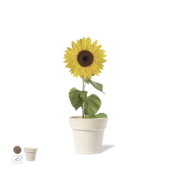 Pot de Fleurs Tumil