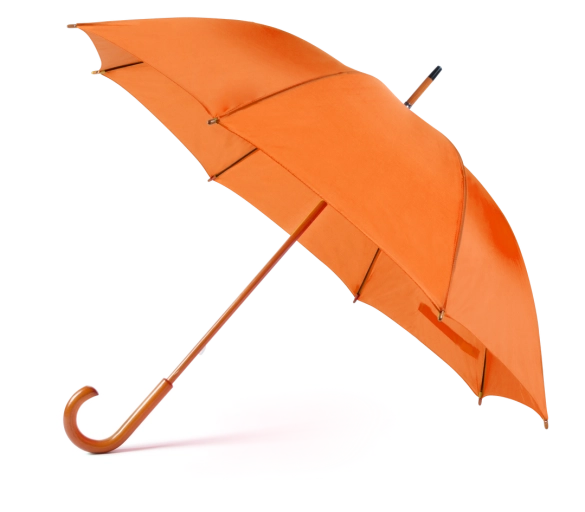 Parapluie Santy