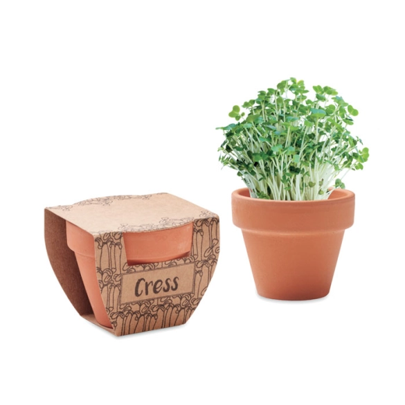 CRESS POT, Pot avec graines de cresson