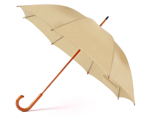 Parapluie Santy