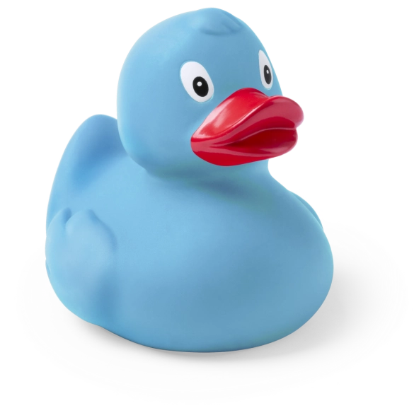 Canard Koldy