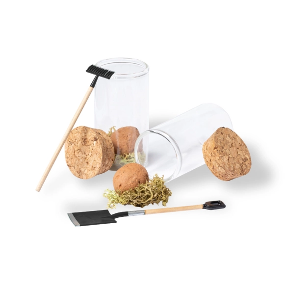 Bonbon Graines Winsu