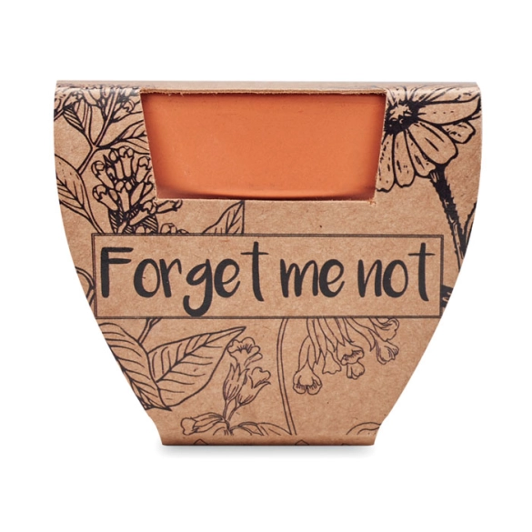 FORGET ME NOT, Pot graines de myosotis