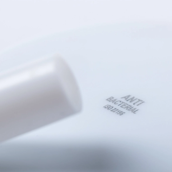 Paille Antibacterienne Ladix