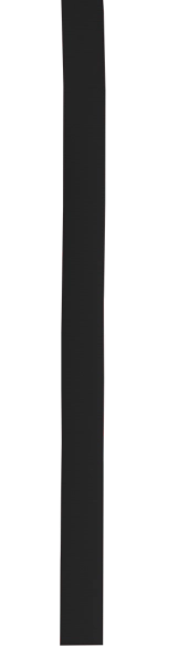 Ruban Chapeau Polyesterband