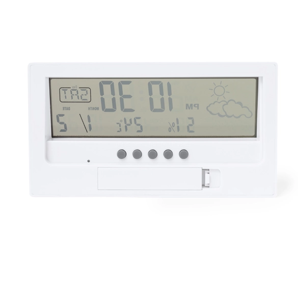Station Météo Roamer