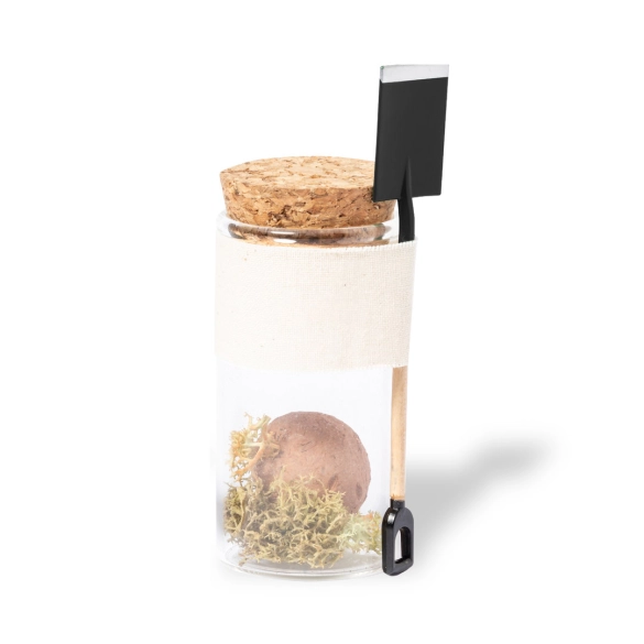 Bonbon Graines Winsu