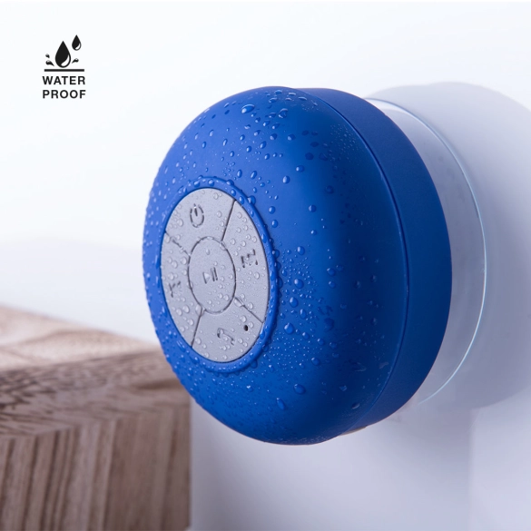 Haut-Parleur Rariax