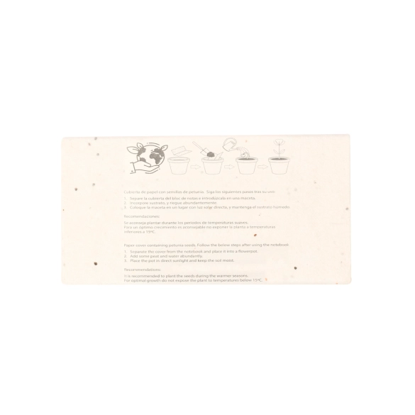 Boîte Crayons Ensemencé Delar