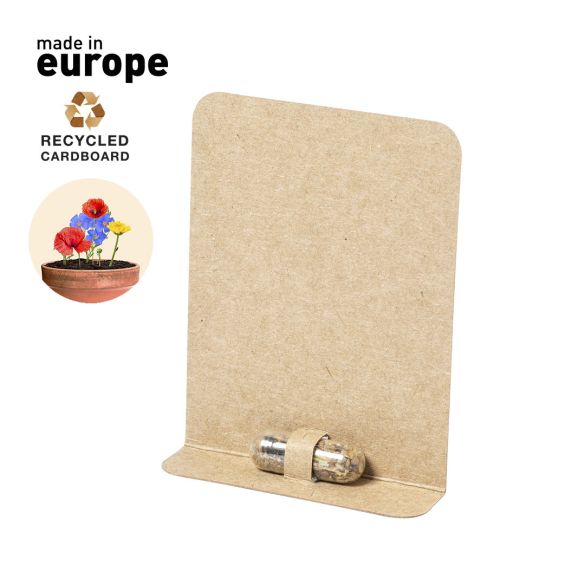 Capsule de Graine Biyok