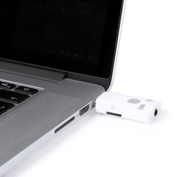 Récepteur Bluethooth Domky