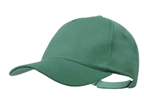 Casquette Pickot