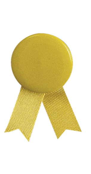 Pin's Ruban Solidario